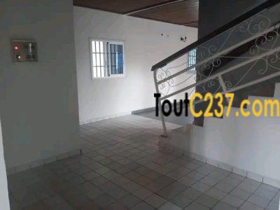 Duplex à Louer à Bonapriso Douala