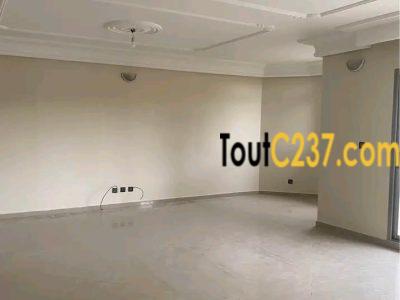 Vaste appartement de 3 chambres à louer à Kotto, Douala
