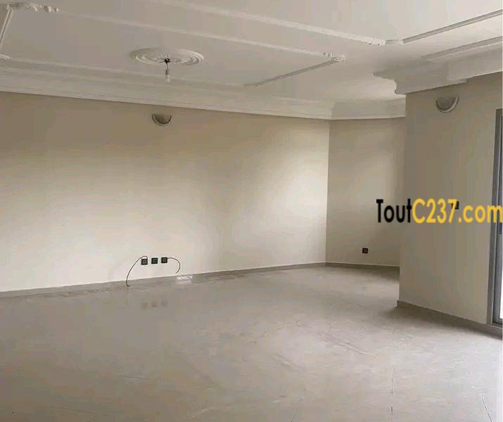 Vaste appartement de 3 chambres à louer à Kotto, Douala