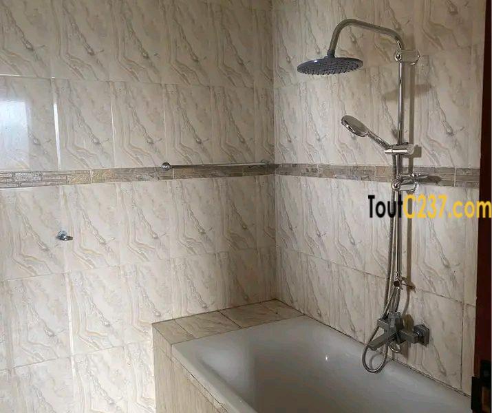 Vaste appartement de 3 chambres à louer à Kotto, Douala