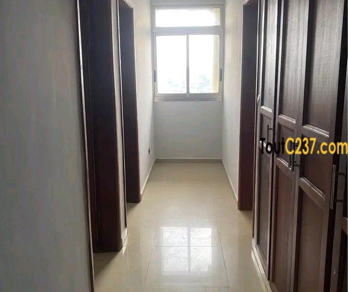 Vaste appartement de 3 chambres à louer à Kotto, Douala
