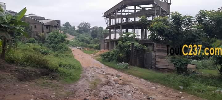 Terrain d'angle à vendre à Lendi, Douala