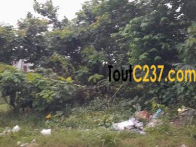 Terrain d'angle à vendre à Lendi, Douala