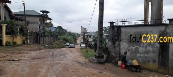 Tereain de 500m² à vendre à Lendi, Douala