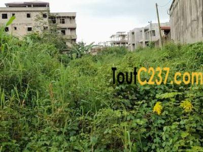Terrain de 500m2 à vendre à Lendi (30m), Douala