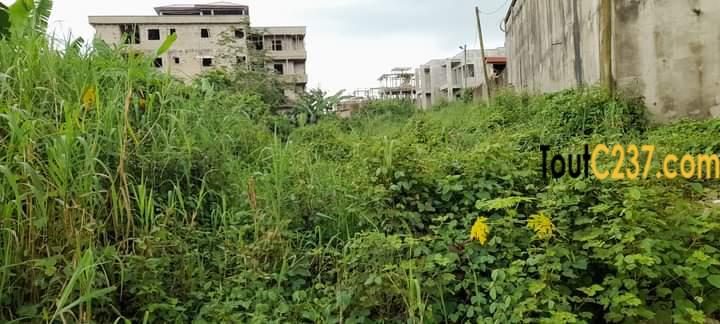 Terrain de 500m2 à vendre à Lendi (30m), Douala