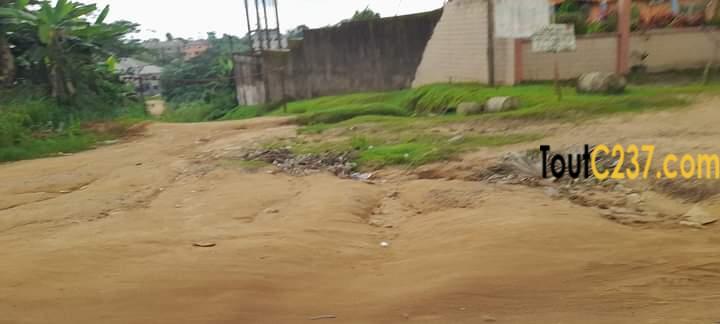 Terrain de 500m2 à vendre à Lendi (30m), Douala
