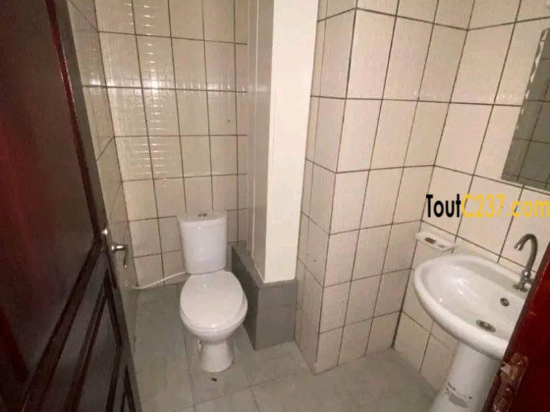 Appartement haut standing à louer à Bonamoussadi