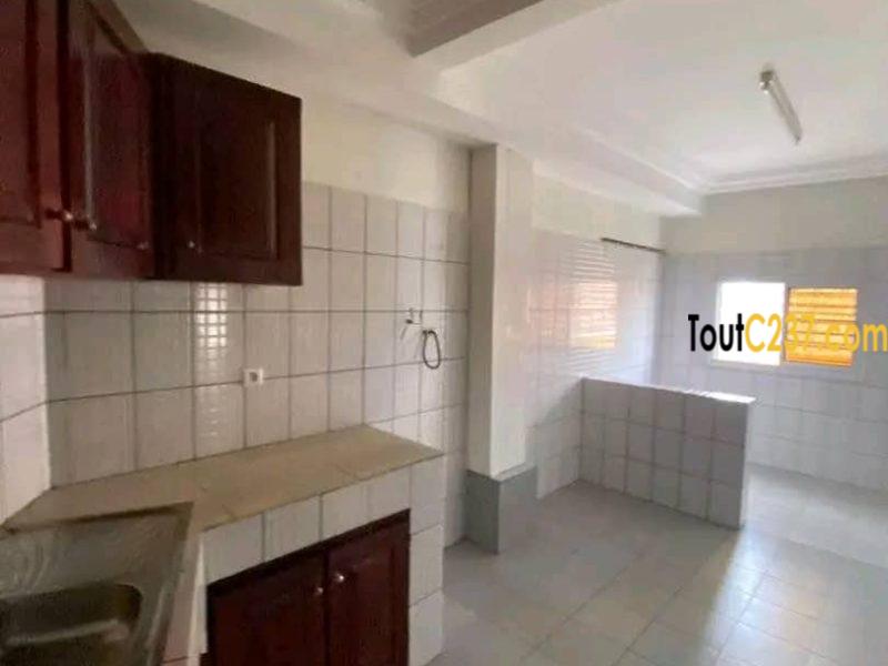 Appartement haut standing à louer à Bonamoussadi