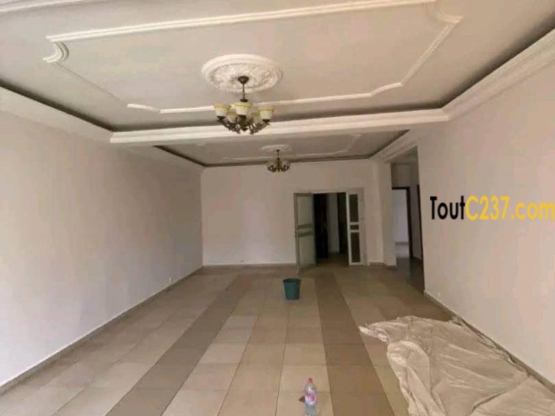 Appartement haut standing à louer à Bonamoussadi
