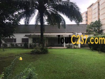 Vaste villa à louer à Bonapriso, Douala