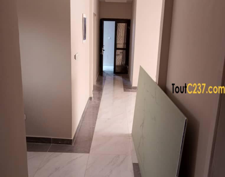 Appartemen haut standing à louer à Bonapriso