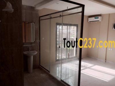 Appartemen haut standing à louer à Bonapriso