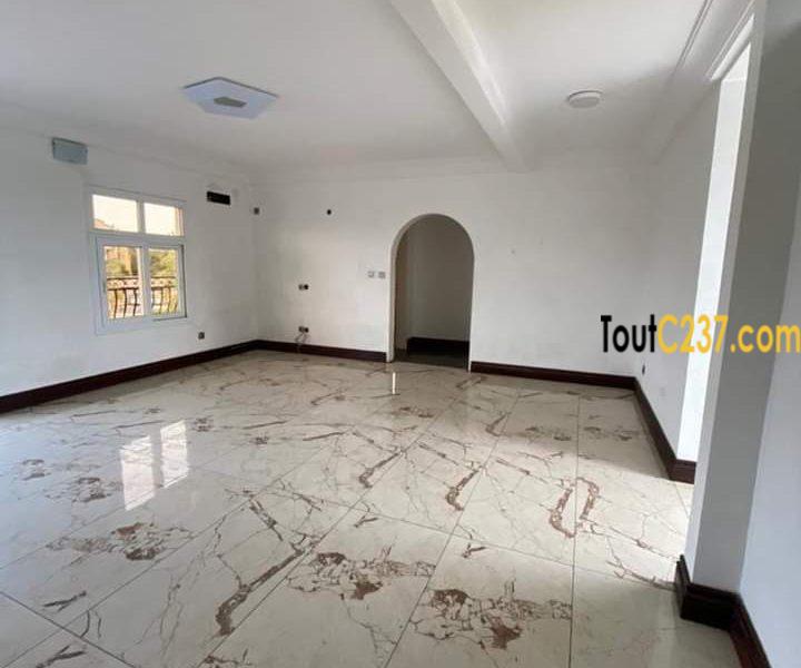 Appartement haut standing à louer à Bonapriso Douala