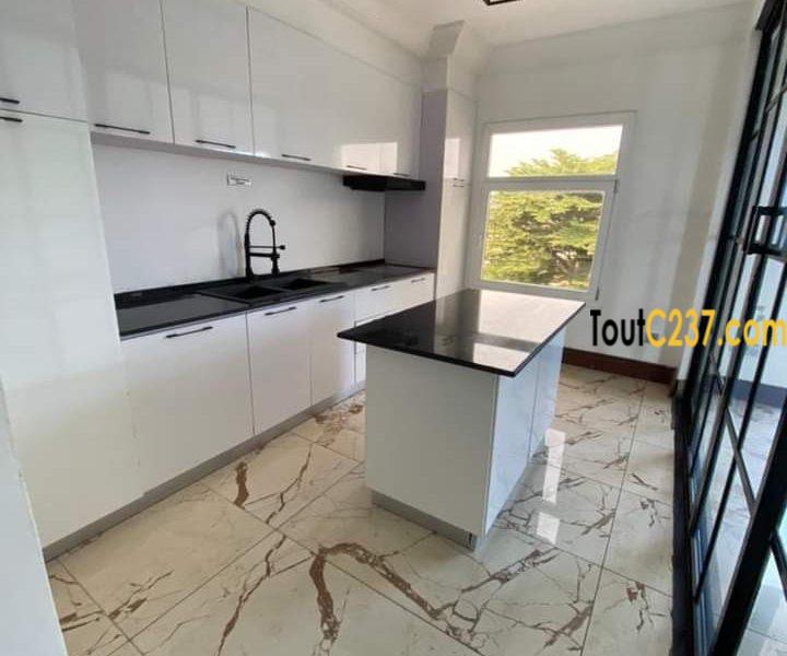 Appartement haut standing à louer à Bonapriso Douala