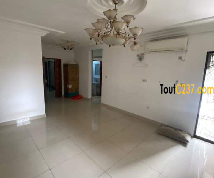 Appartement à louer à Bonapriso Douala