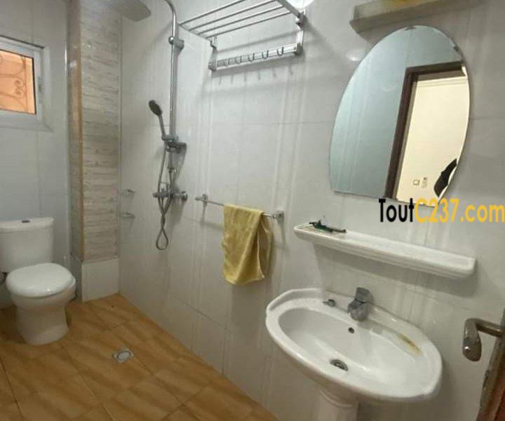 Appartement à louer à Bonapriso Douala