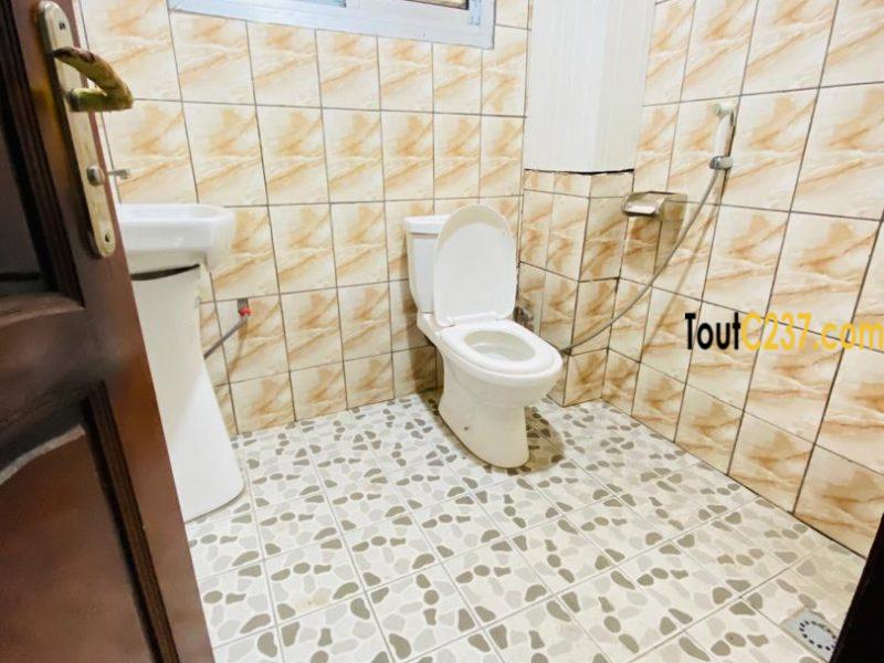 Plusieurs studios modernes à louer à Logpom, Douala