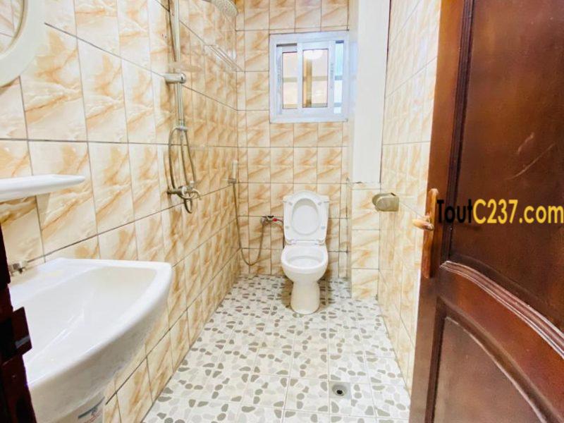 Plusieurs studios modernes à louer à Logpom, Douala