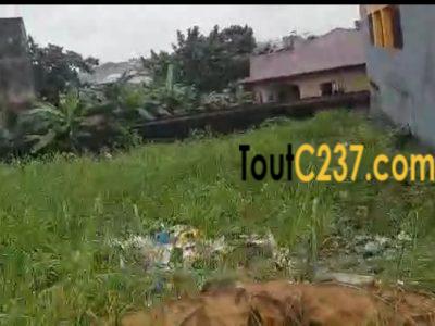 Magnifique terrain à vendre à Logpom (Camara laue)