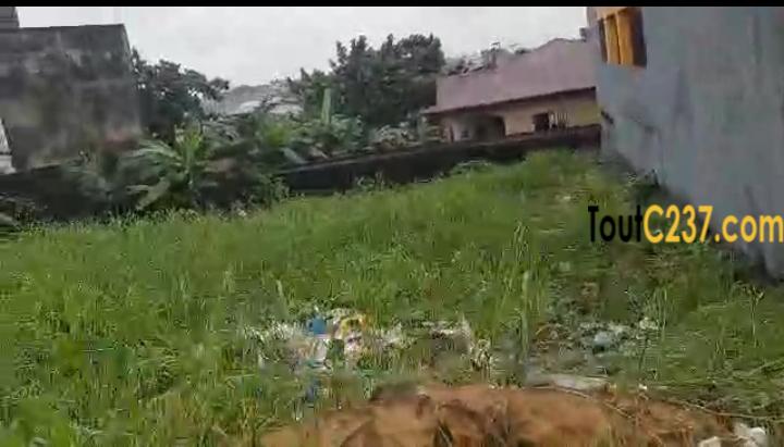 Magnifique terrain à vendre à Logpom (Camara laue)