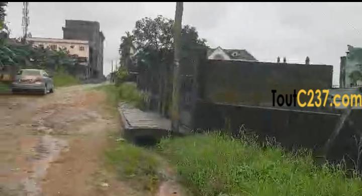 Magnifique terrain à vendre à Logpom (Camara laue)