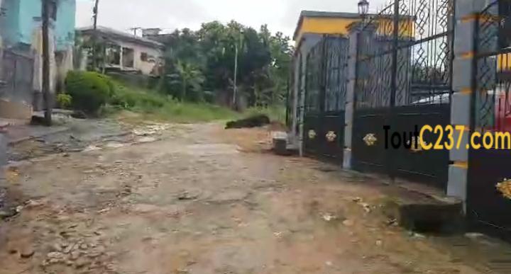 Magnifique terrain à vendre à Logpom (Camara laue)