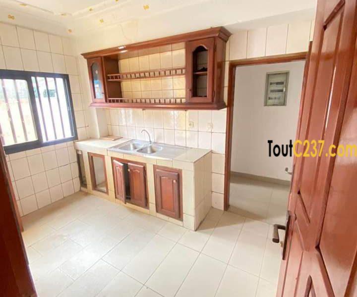 Jolie Appartement à louer à Bonamoussadi, Douala