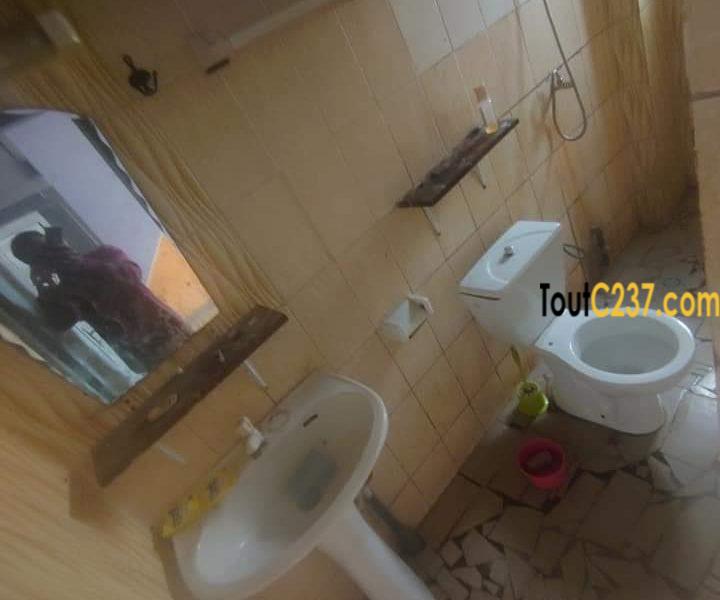 Appartement à louer à Bonamoussadi Douala