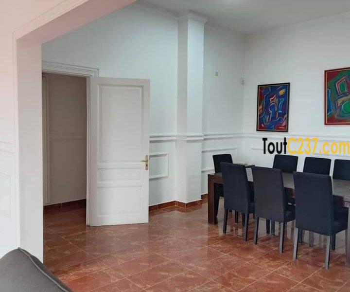 Appartement présidentiel à louer à Bonanjo Douala