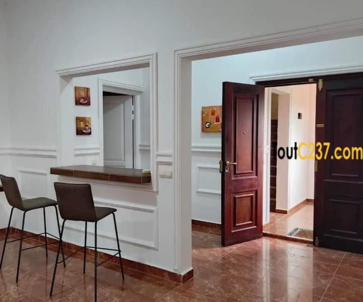Appartement présidentiel à louer à Bonanjo Douala