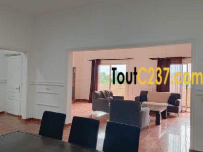 Appartement présidentiel à louer à Bonanjo Douala