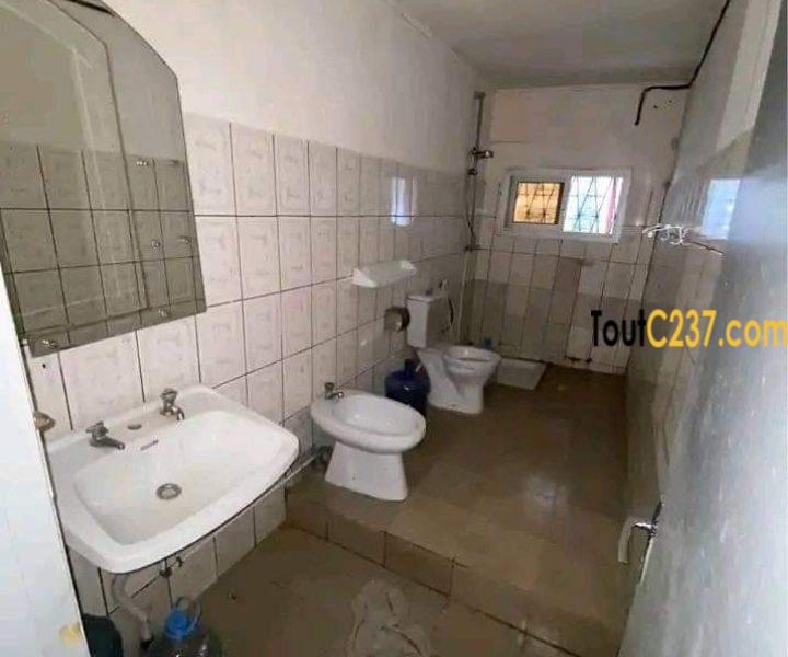 Maison à louer à Bonapriso, Douala