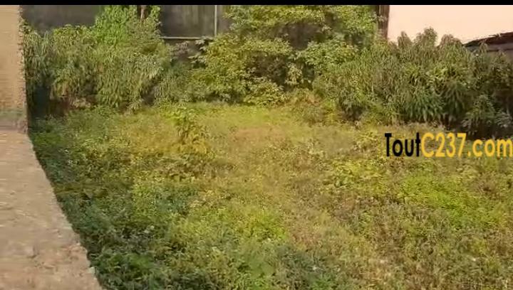 Terrain commercial à vendre à Bonamoussadi, Douala