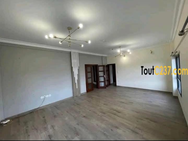 Vaste et luxeux appartement à louer à Bonapriso Douala
