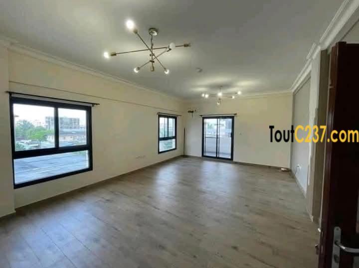 Vaste et luxeux appartement à louer à Bonapriso Douala