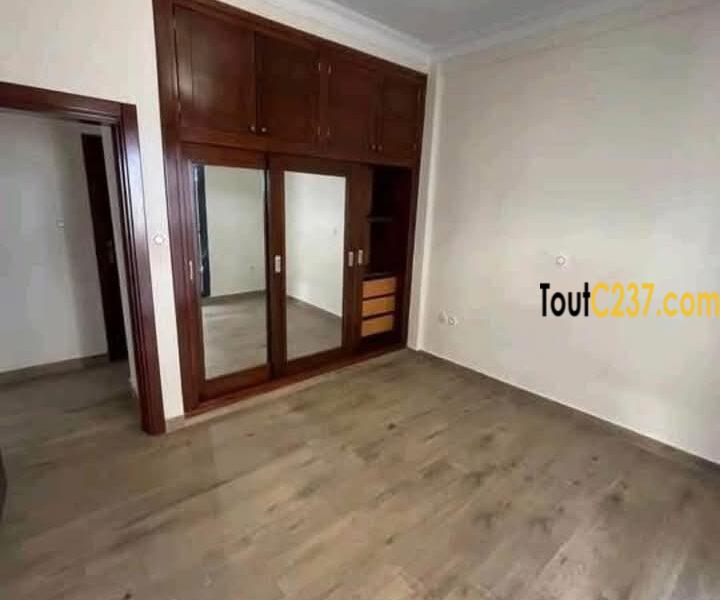 Vaste et luxeux appartement à louer à Bonapriso Douala