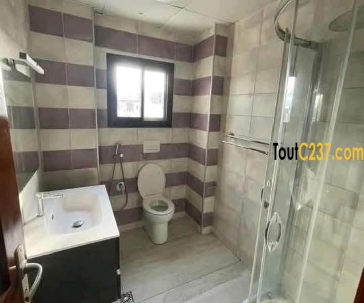 Vaste et luxeux appartement à louer à Bonapriso Douala