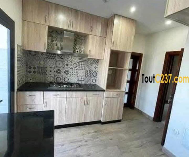 Vaste et luxeux appartement à louer à Bonapriso Douala