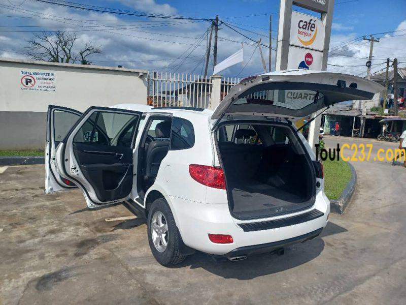 Hyundai Santa fe 2009 à vendre à Douala