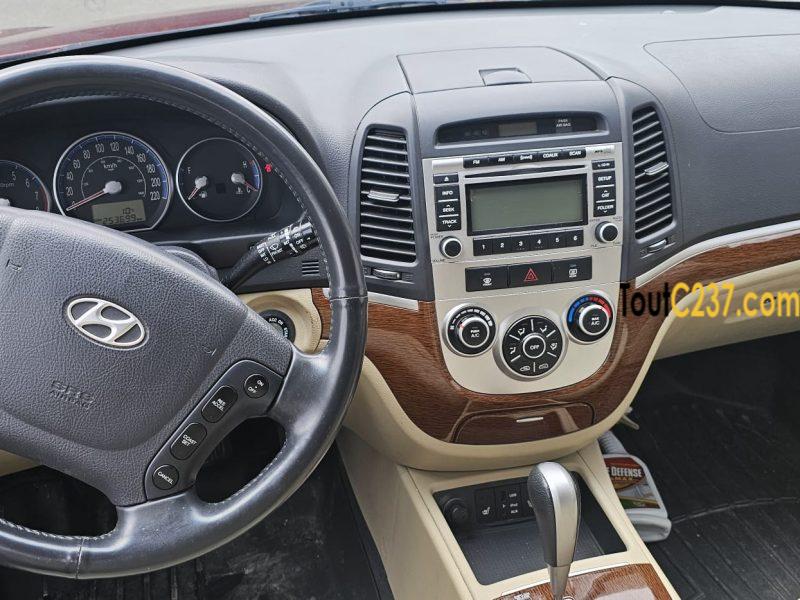 Hyundai Santa fe 2009 à vendre à Douala