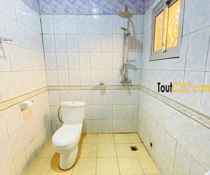 Studio Moderne à louer à Logpom, Douala