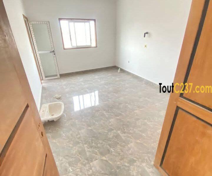 Appartement neuf à louer à Deido