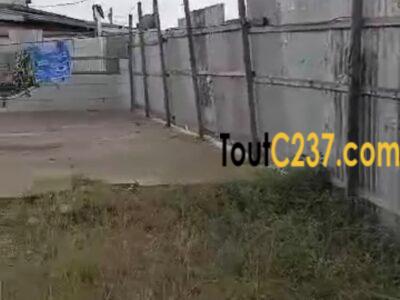 Terrain commercial à vendre à Pk8, Douala