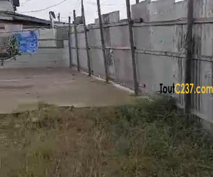 Terrain commercial à vendre à Pk8, Douala