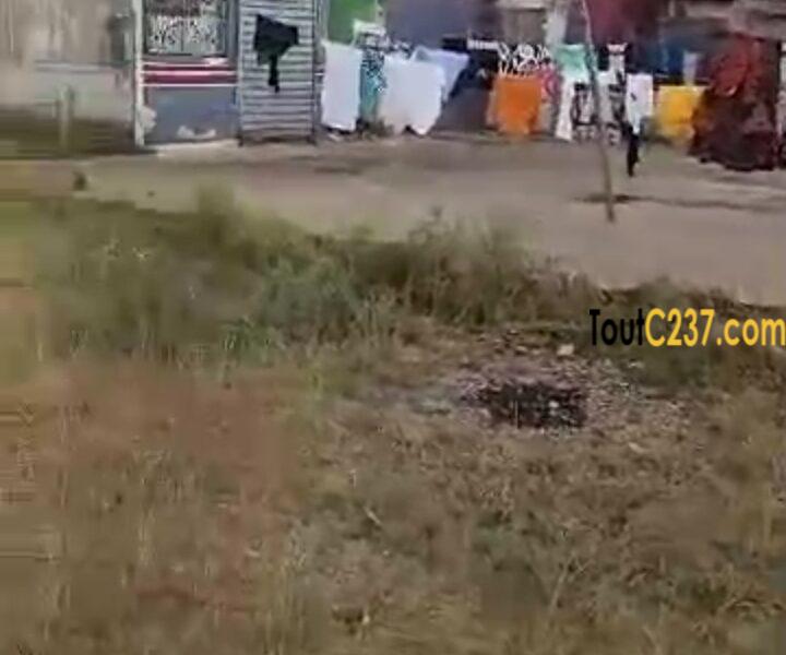 Terrain commercial à vendre à Pk8, Douala