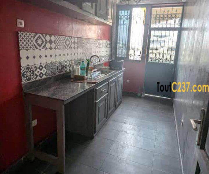Appartement haut standing à louer à Deido, Douala
