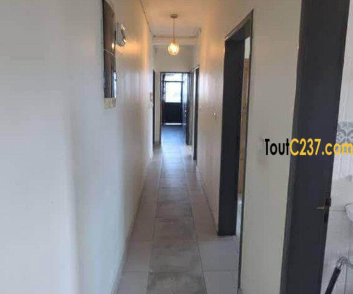 Appartement haut standing à louer à Deido, Douala