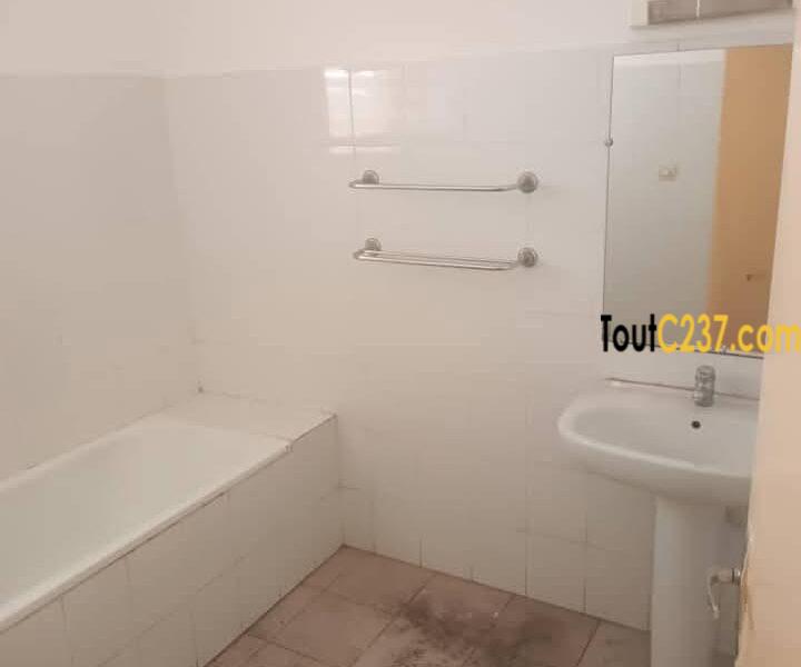 Vaste villa avec piscine à louer à Bonapriso
