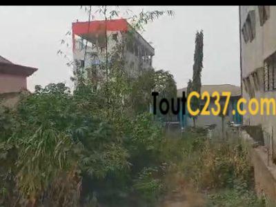 Terrain à vendre à Logbessou, Douala